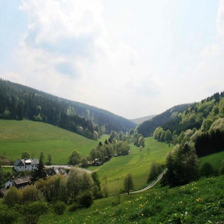 Large Holiday Home In Willingen With Private Garden And Several Terraces エクステリア 写真