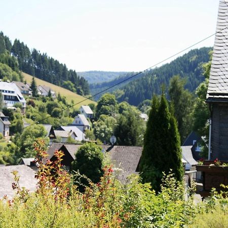 Large Holiday Home In Willingen With Private Garden And Several Terraces エクステリア 写真