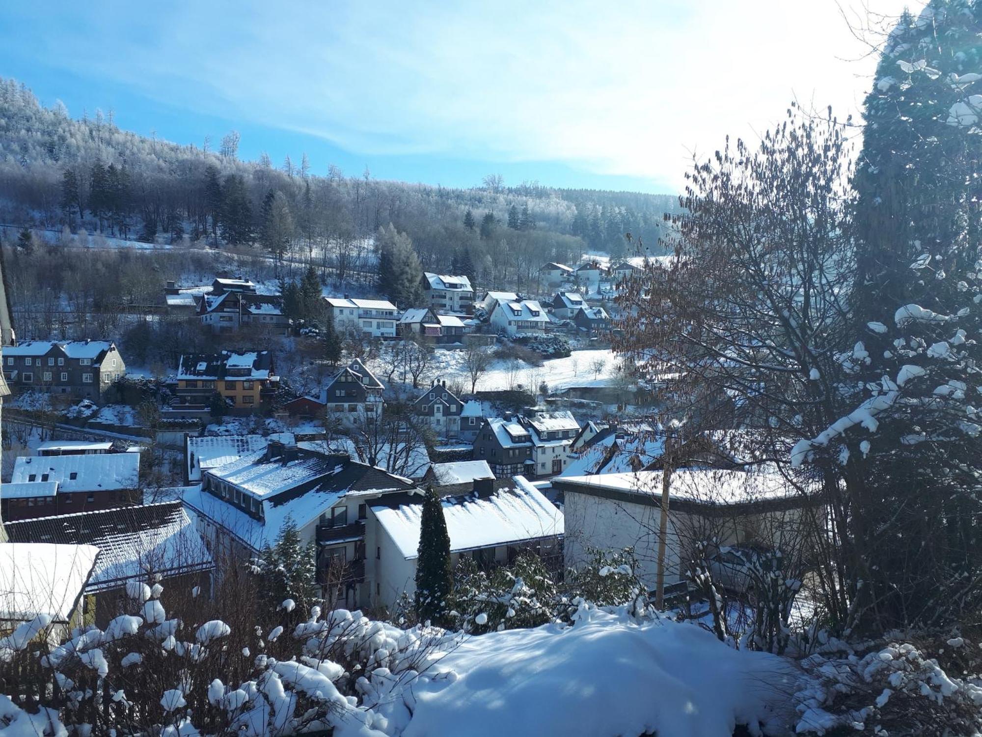 Large Holiday Home In Willingen With Private Garden And Several Terraces エクステリア 写真